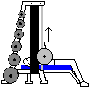 Flat Bench Press on Smith Machine