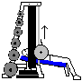 Low Incline Bench Press on Smith Machine