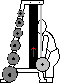 3/4 Smith Machine Deadlift