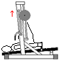 Calf Raise on Vertical Leg Press