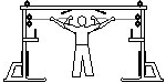 Cable Crossover Curls