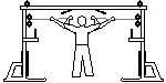 Cable Crossover Curl