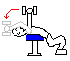 Dumbbell Cross Bench Pullover