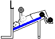 Decline Bench Press with Cambered Bar