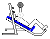 Low Incline Barbell Press