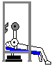 Low Incline Barbell Press