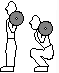 Free Weight Squats