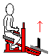 Seated Calf Raises
