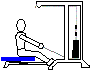 Seated Cable Row