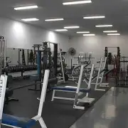 Free Weights vs. Machines