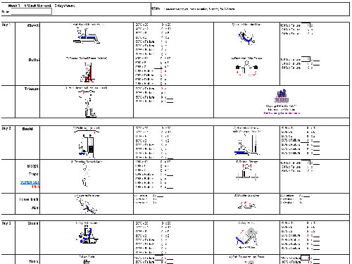 Workout Programs Beginner to Advanced The Training Station